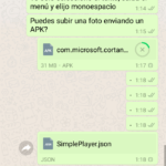 whatsapp envio doc