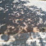 Foto exterior suelo Nokia 6.1