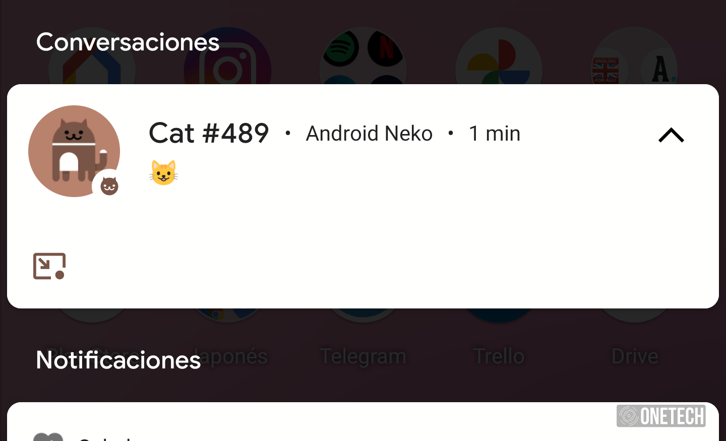 Cat Neko