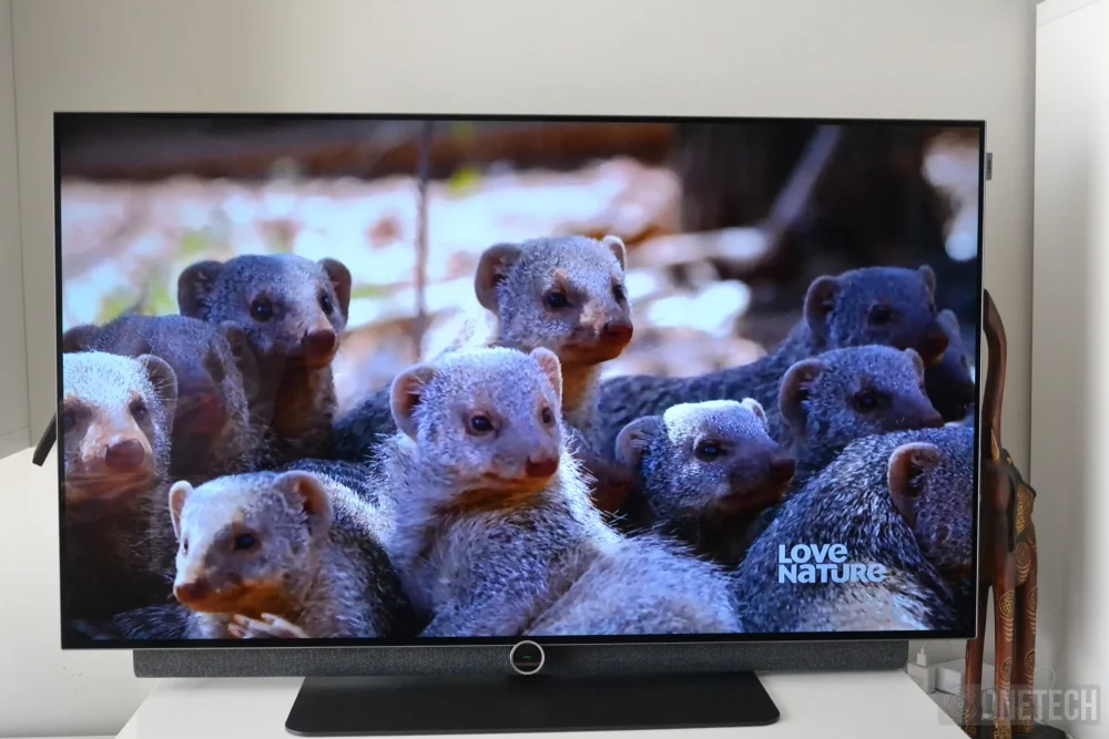 Loewe Bild i48 dr+, un televisor OLED 4K Ultra HD de alta gama "calidad alemana" - Análisis 10