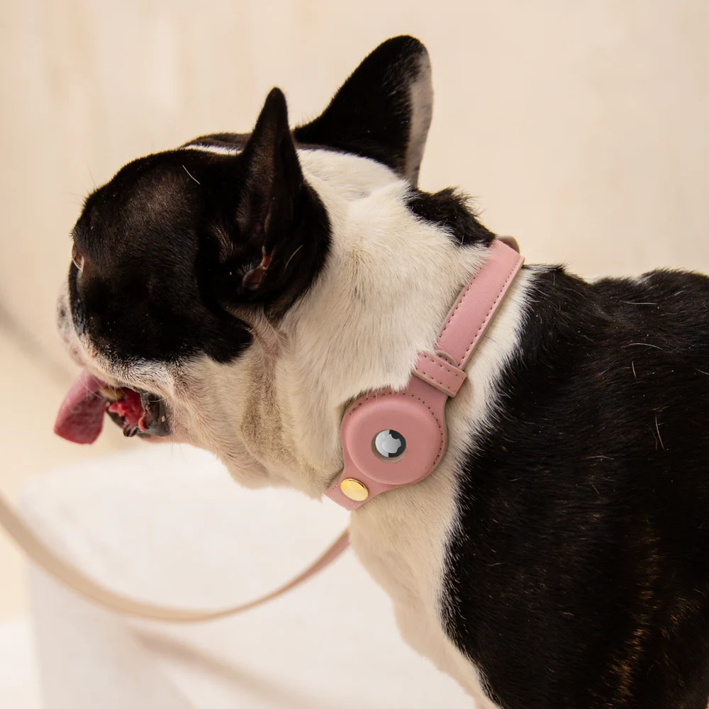 Cupertino, el collar que permite poner un tag a tu mascota sin renunciar a la elegancia Cupertino, el collar que permite poner un tag a tu mascota sin renunciar a la elegancia