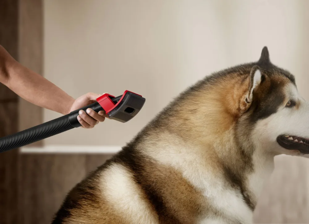 Dyson V16 Piston Animal, la aspiradora sin cables más potente e inteligente de la marca Dyson V16 Piston Animal, la aspiradora sin cables más potente e inteligente de la marca