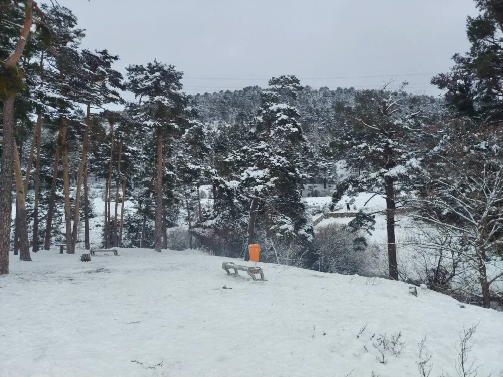 HONOR Magic8 Lite, la gama media tiene un nuevo rey en autonomía - Análisis