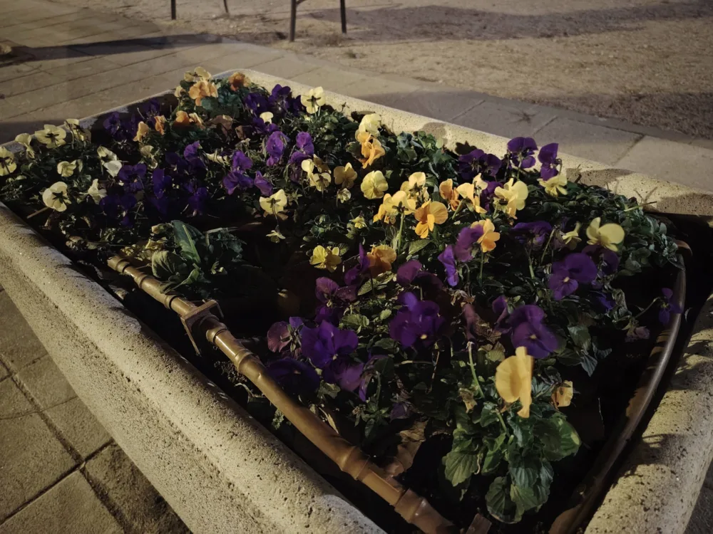 HONOR Magic8 Lite, la gama media tiene un nuevo rey en autonomía - Análisis