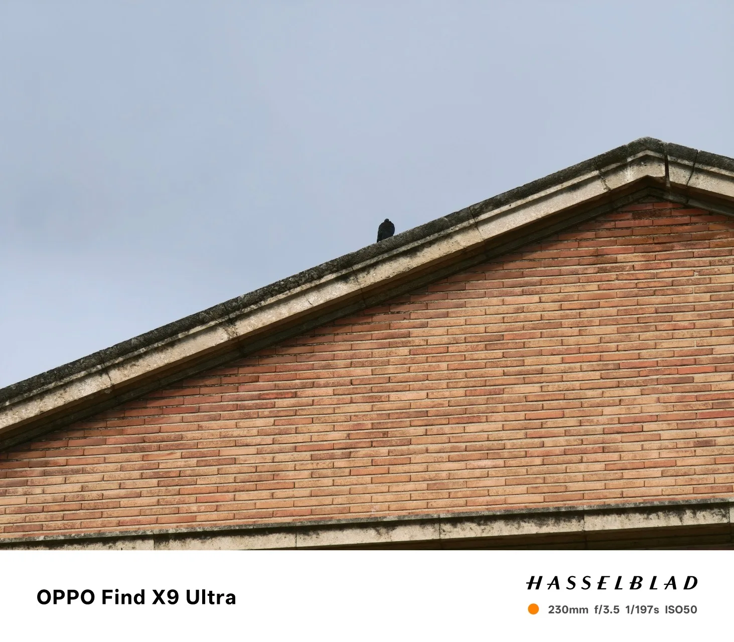 OPPO Find X9 Ultra, análisis: fotografía y rendimiento de buque insignia que roza la perfección - Análisis