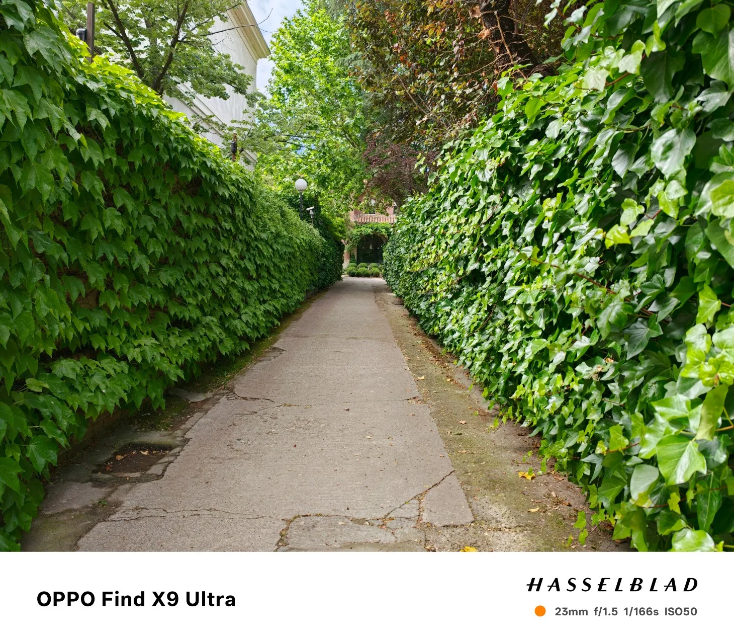 OPPO Find X9 Ultra, análisis: fotografía y rendimiento de buque insignia que roza la perfección - Análisis
