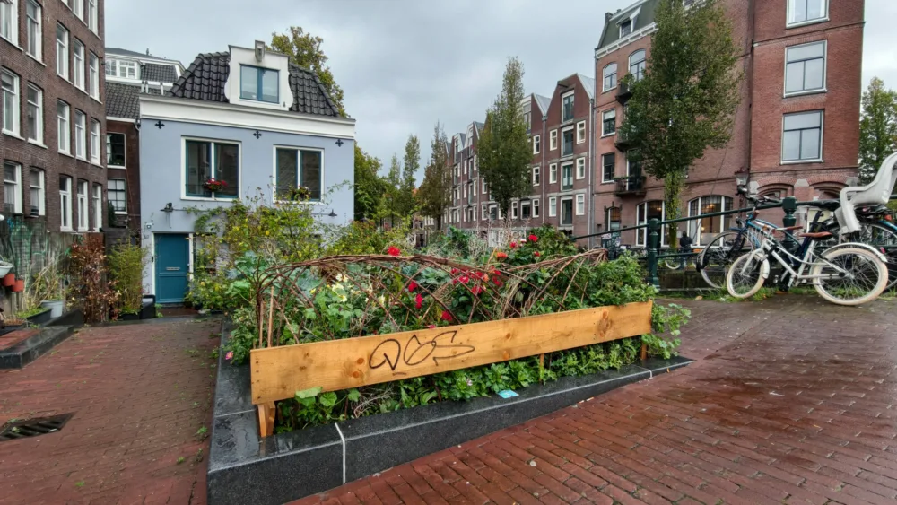 Vivo X300: el "tapado" de la serie me ha conquistado - Análisis