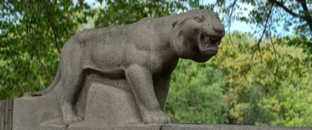 Vivo X300: el "tapado" de la serie me ha conquistado - Análisis