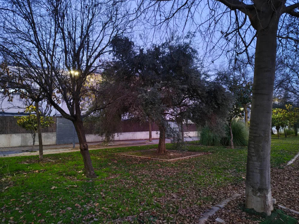 Motorola Edge 70, cuando ultrafino no es opuesto a calidad - Análisis