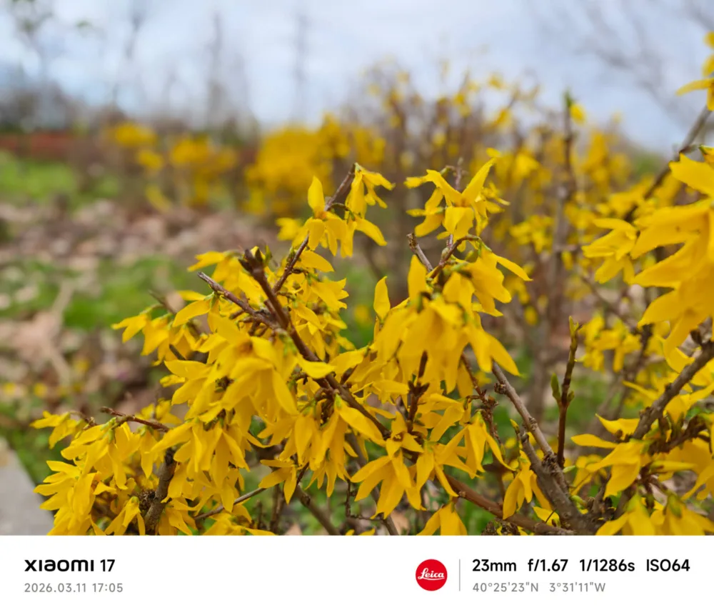 Xiaomi 17, la seguridad que da reinar en la gama alta compacta - Análisis