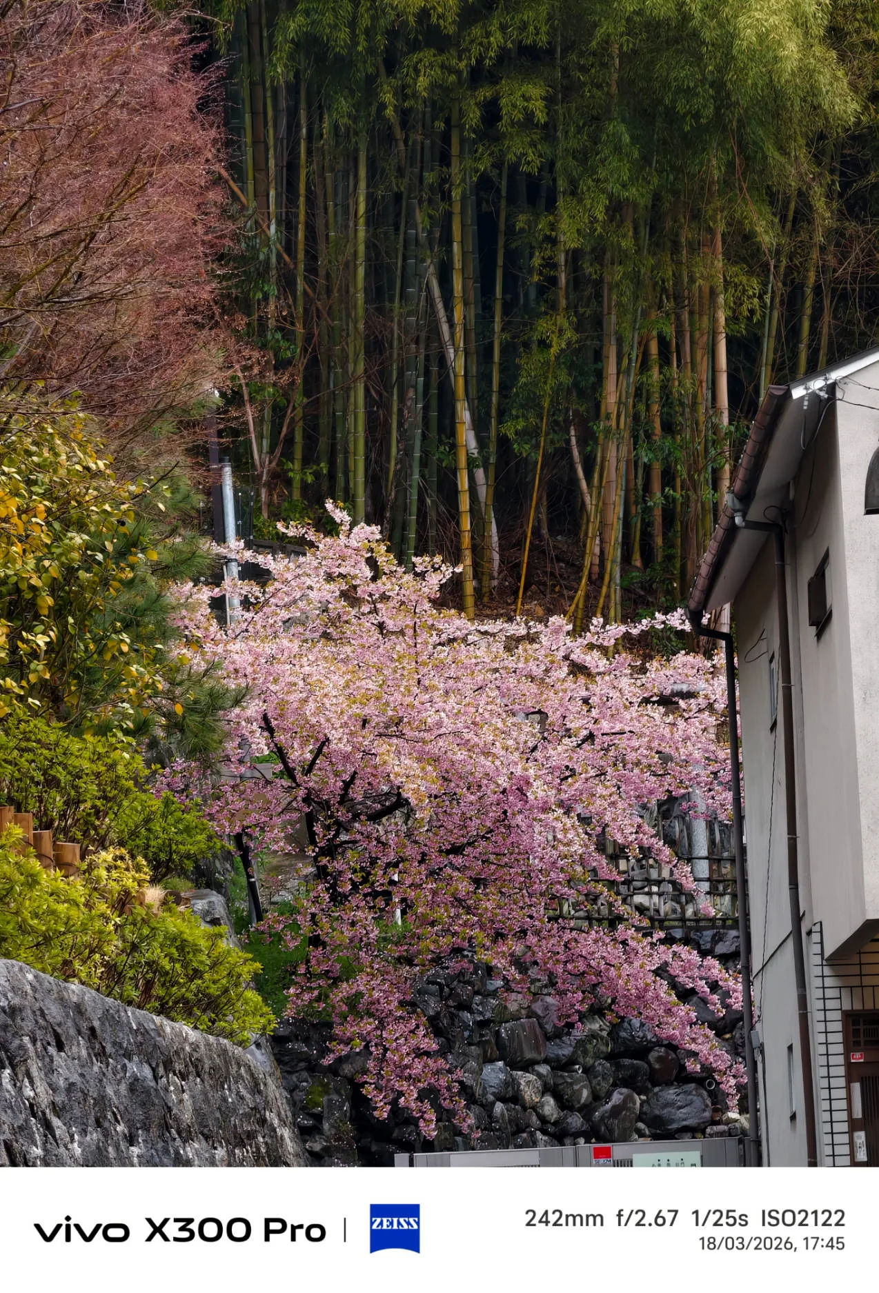 Vivo X300 Pro, experiencia a largo plazo con un kit fotográfico que te lleva al siguiente nivel - Análisis