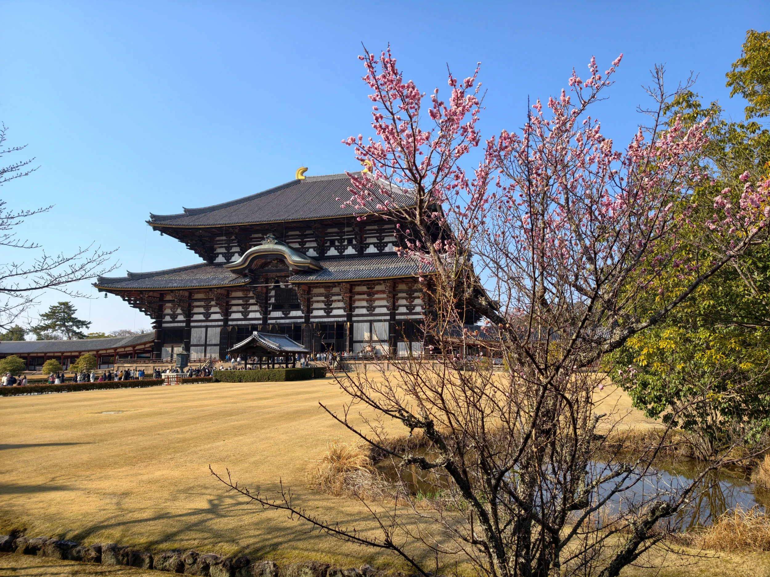 Vivo X300 Pro, experiencia a largo plazo con un kit fotográfico que te lleva al siguiente nivel - Análisis