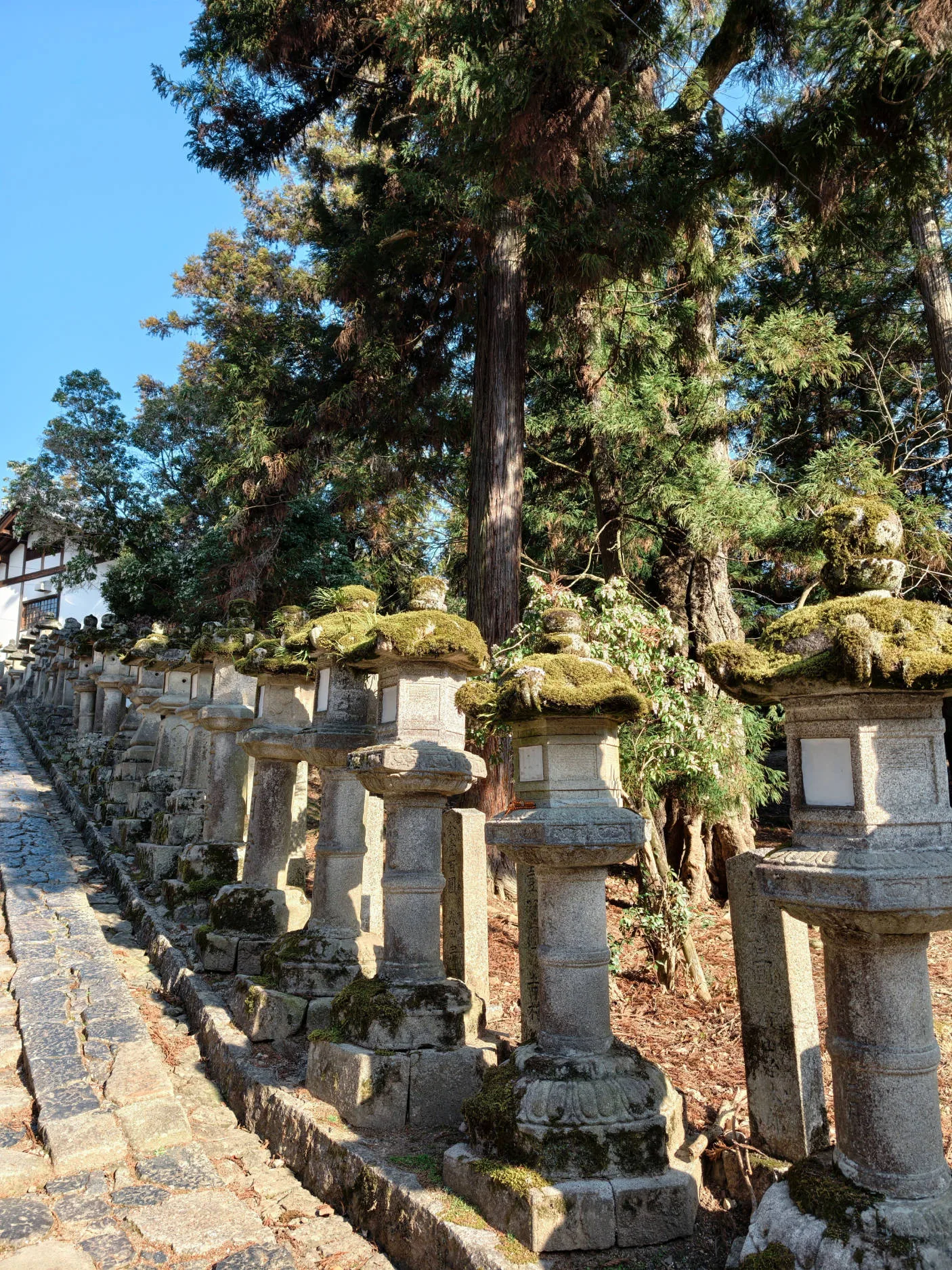 Vivo X300 Pro, experiencia a largo plazo con un kit fotográfico que te lleva al siguiente nivel - Análisis