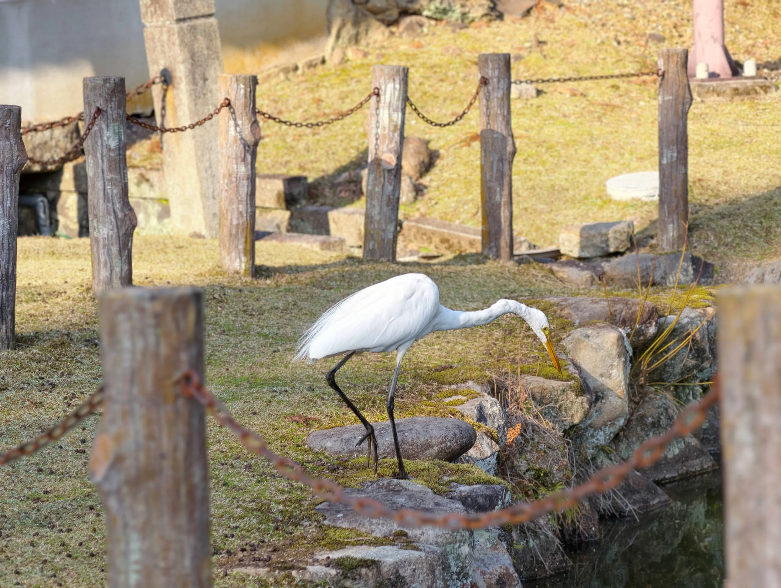 Vivo X300 Pro, experiencia a largo plazo con un kit fotográfico que te lleva al siguiente nivel - Análisis