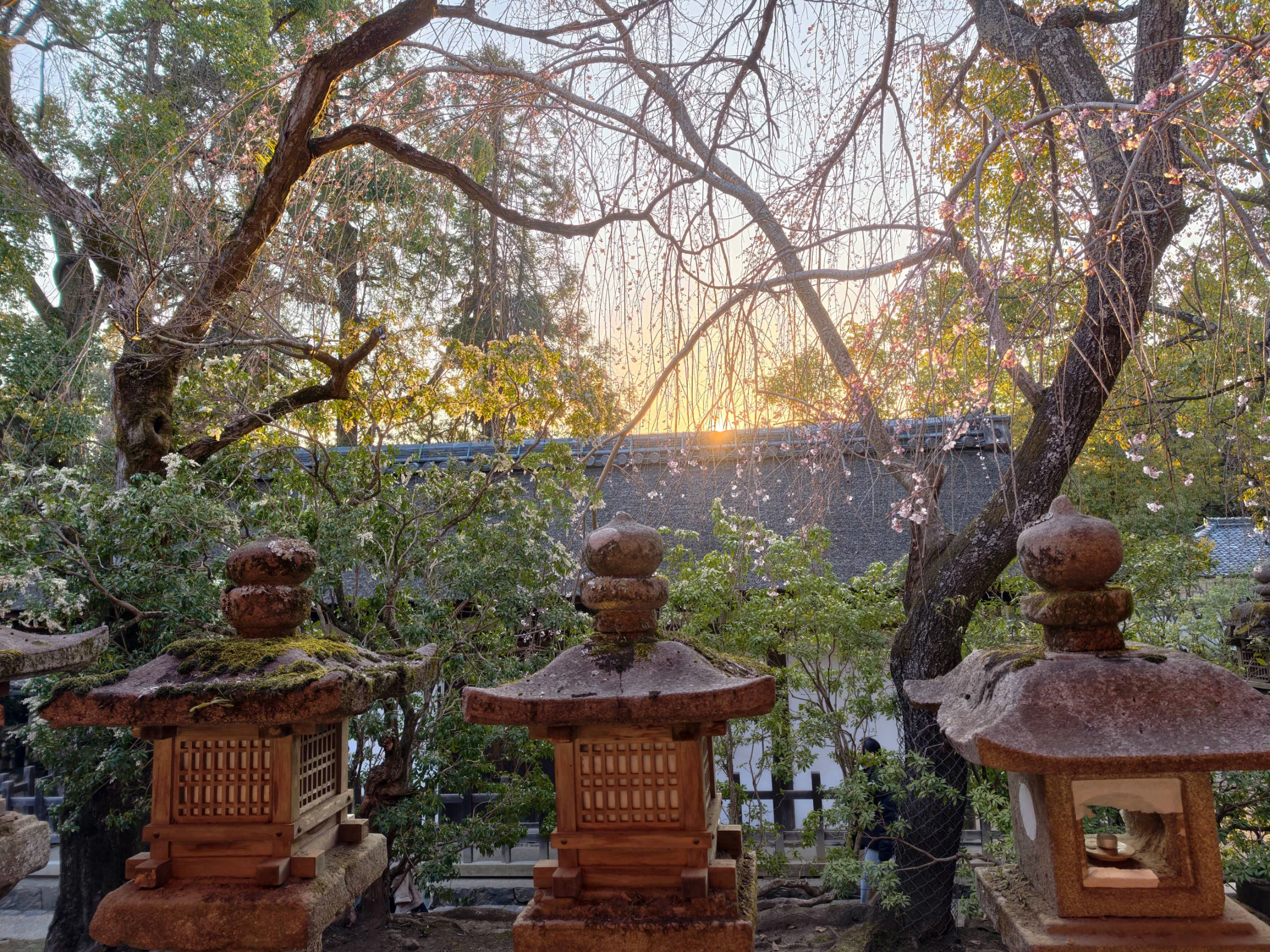 Vivo X300 Pro, experiencia a largo plazo con un kit fotográfico que te lleva al siguiente nivel - Análisis