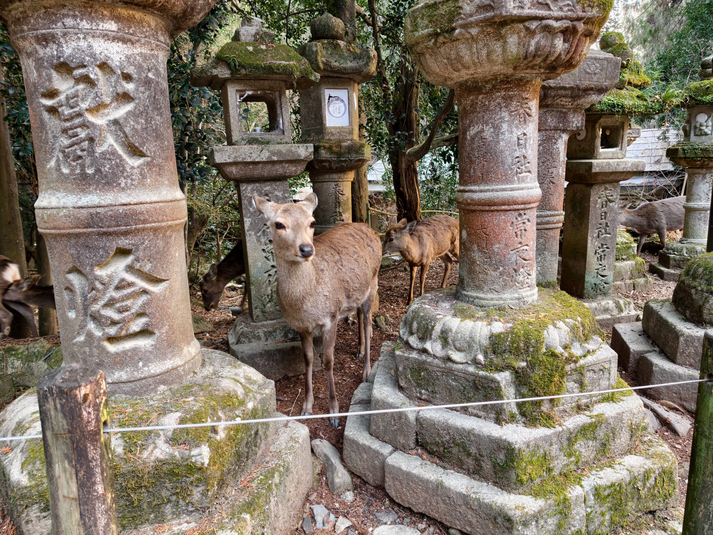 Vivo X300 Pro, experiencia a largo plazo con un kit fotográfico que te lleva al siguiente nivel - Análisis