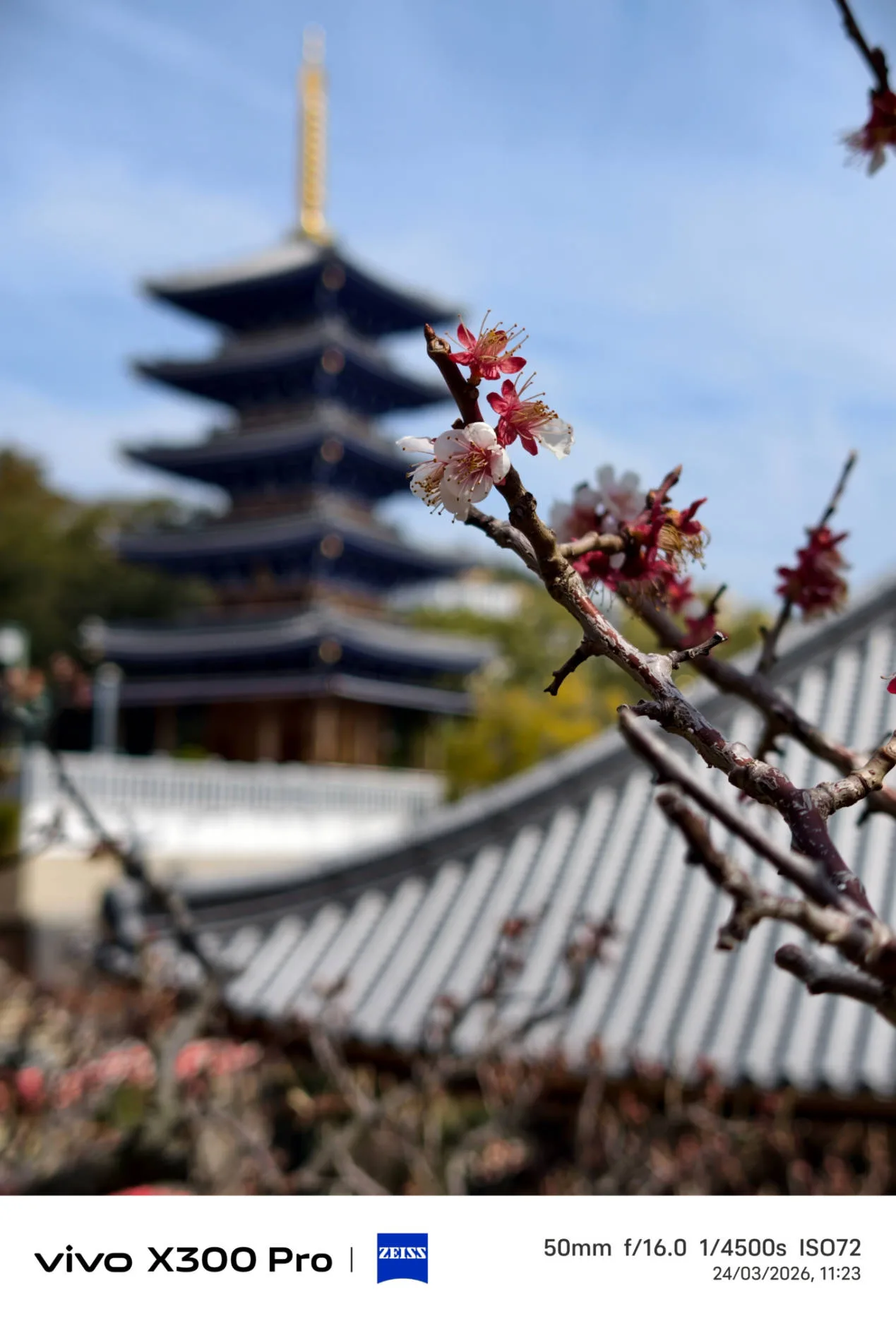 Vivo X300 Pro, experiencia a largo plazo con un kit fotográfico que te lleva al siguiente nivel - Análisis