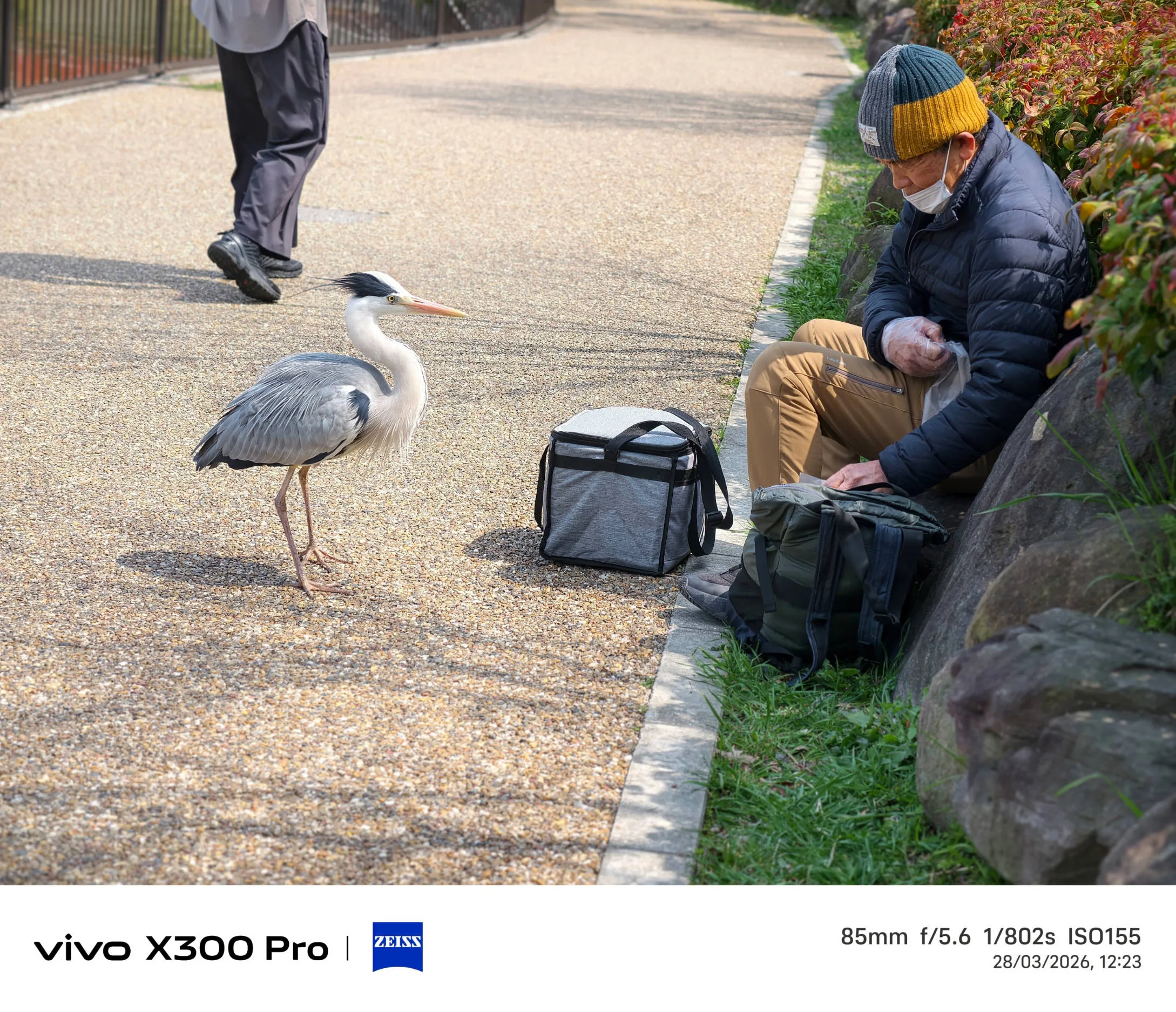 Vivo X300 Pro, experiencia a largo plazo con un kit fotográfico que te lleva al siguiente nivel - Análisis