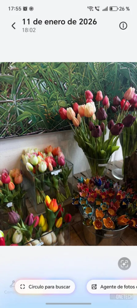 HONOR Magic8 Pro, un dispositivo para dejar en evidencia a toda la gama alta - Análisis HONOR Magic8 Pro, un dispositivo para dejar en evidencia a toda la gama alta - Análisis