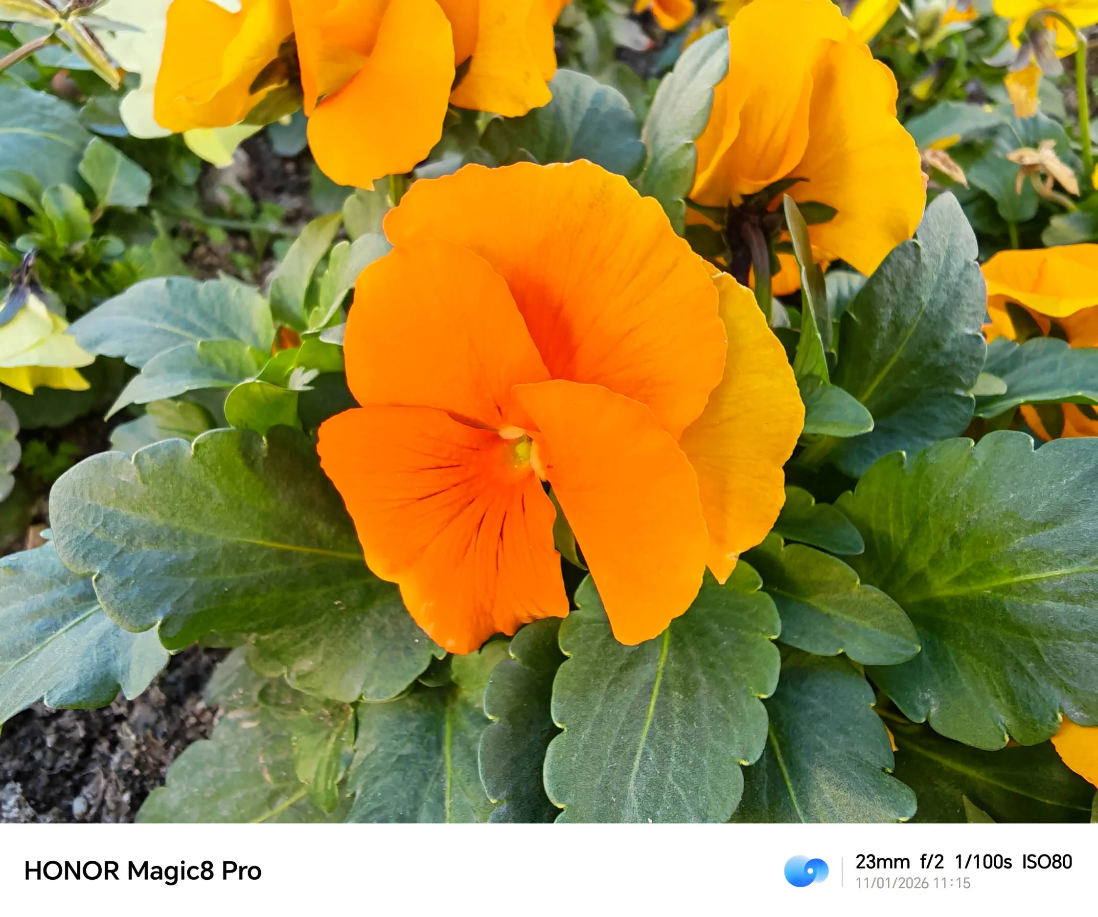 HONOR Magic8 Pro, un dispositivo para dejar en evidencia a toda la gama alta - Análisis HONOR Magic8 Pro, un dispositivo para dejar en evidencia a toda la gama alta - Análisis