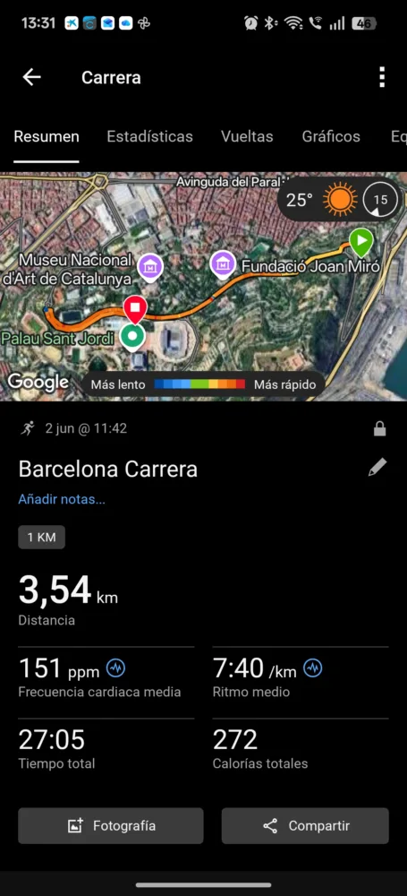 Garmin Forerunner 170, estadisticas