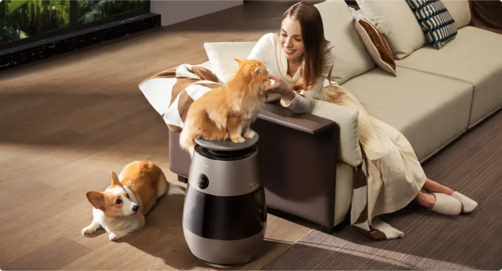 Dreame amplía su catálogo con nuevos productos para el hogar